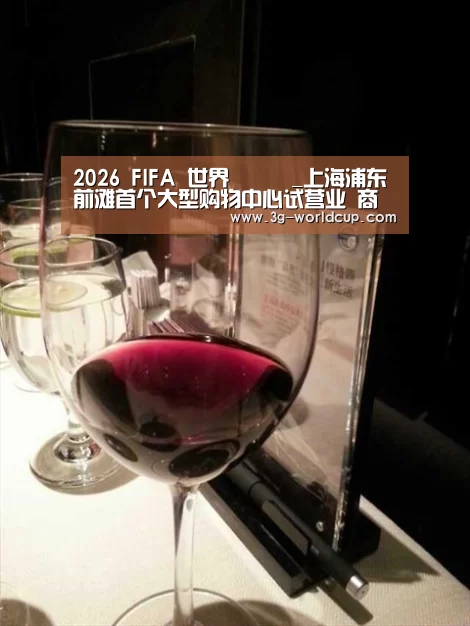 2026 FIFA 世界盃資訊_上海浦东前滩首个大型购物中心试营业 商